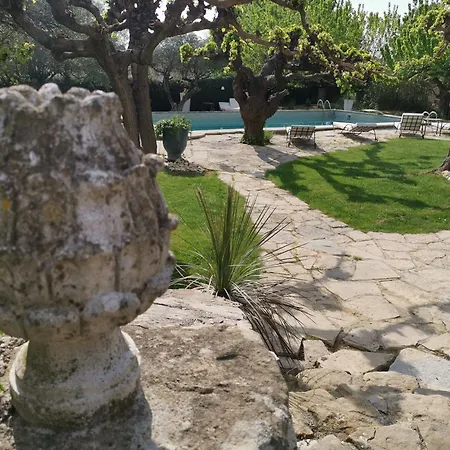 Willa Magnifique Bastide 10